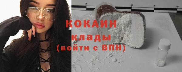 прущие грибы Бежецк