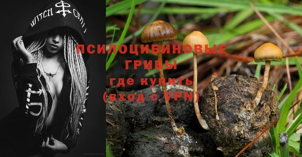 МДПВ Киренск