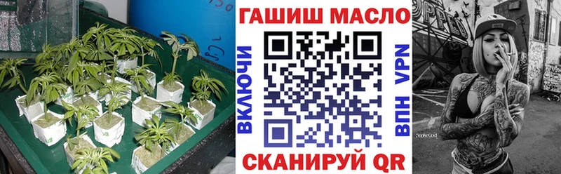Купить закладки  Салаир  Дистиллят ТГК гашишное масло 