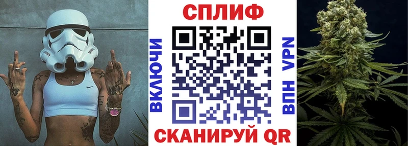 Конопля марихуана Салаир